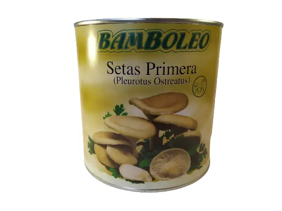 SETAS DE CARDO LATA BAMBOLEO 3 KG.